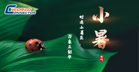 今日小暑|手握清風(fēng)，連接夏夢